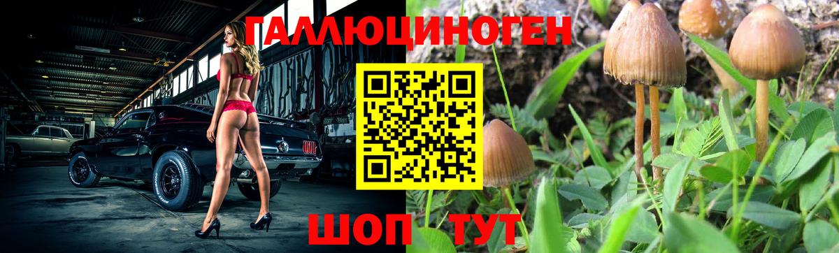 Галлюциногенные грибы Psilocybine cubensis Моздок