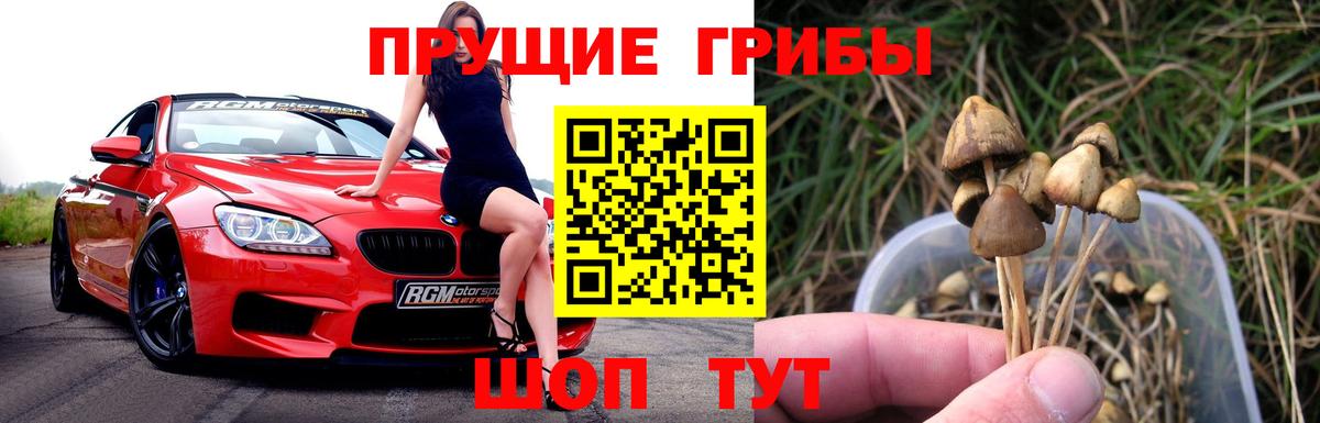 Моздок  Псилоцибиновые грибы Psilocybine cubensis  Вход с VPN  Псилоцибиновые грибы ЛСД 